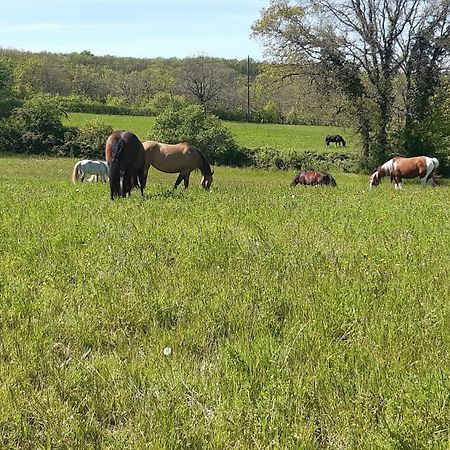 Ferme Brasseyrou - B&B Classique Devillac Εξωτερικό φωτογραφία